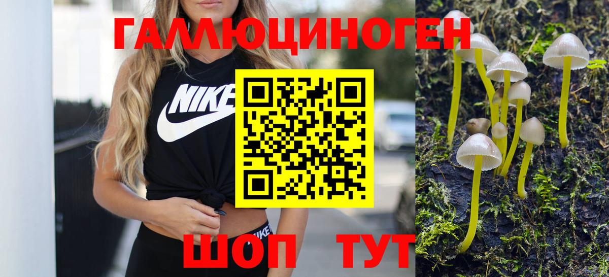 Псилоцибиновые грибы прущие грибы Родники
